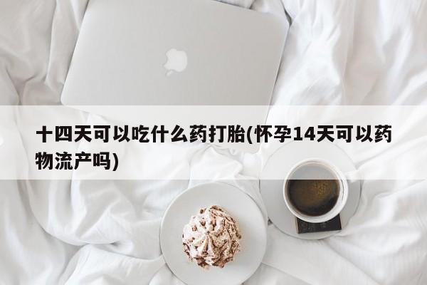 米非司酮片米索前列醇在线下单购买十四天可以吃什么药打胎(怀孕14天可以药物流产吗)